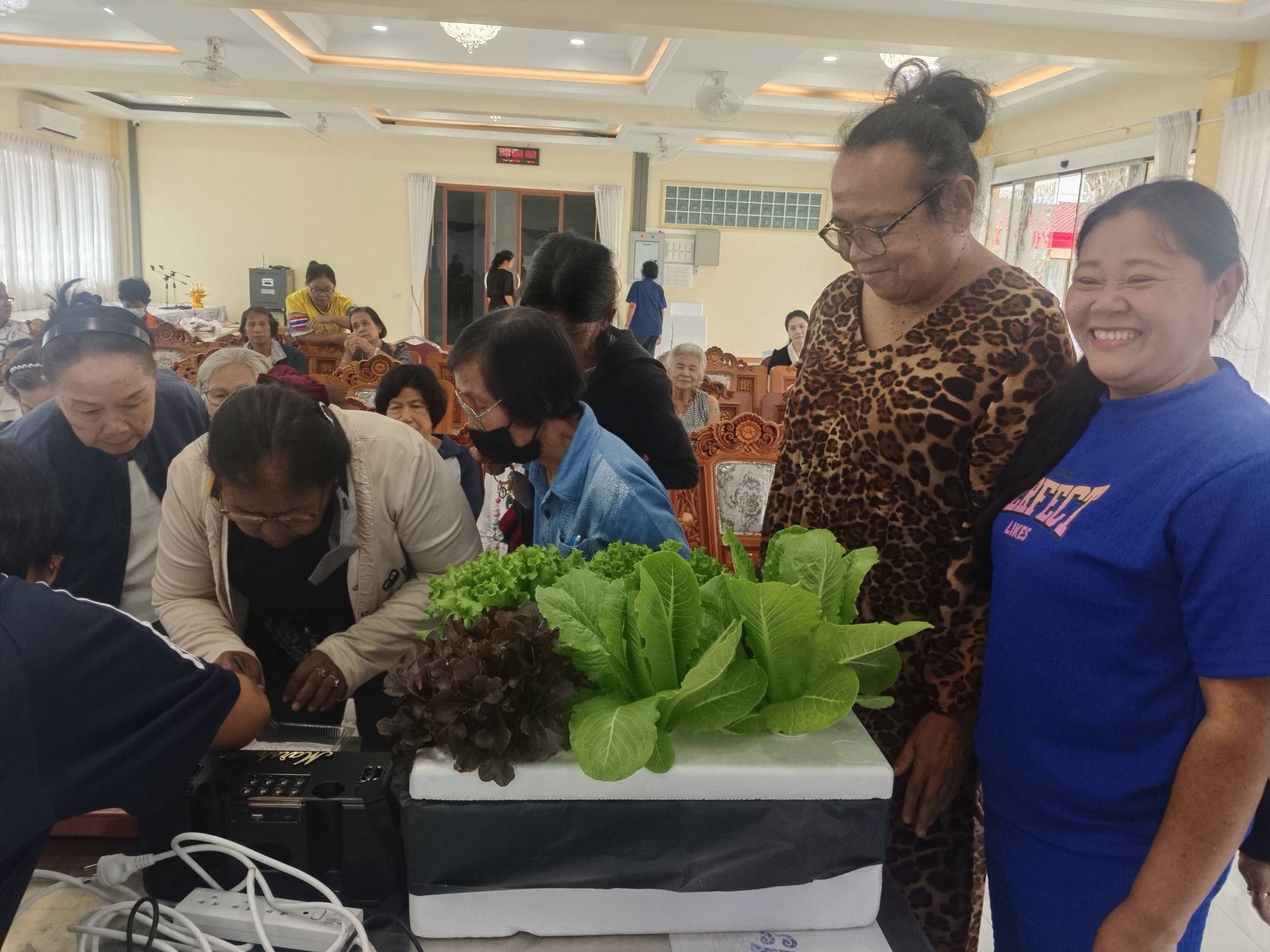 สำนักงานพัฒนาชุมชนอำเภอปากเกร็ด ดำเนินโครงการสร้างสัมมาชีพชุมชนครัวเรือนที่ได้รับผลกระทบด้านอาชีพและรายได้ที่มีศักยภาพและสามารถพัฒนาได้ 