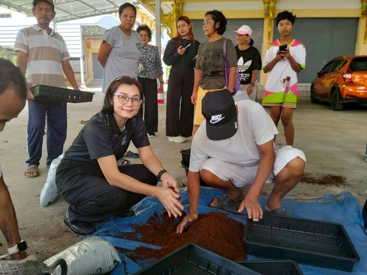 พช.ปากเกร็ด ดำเนินโครงการส่งเสริมอาชีพครัวเรือนยากจนด้านการเพาะต้นอ่อนทานตะวันและการเพาะถั่วงอก 